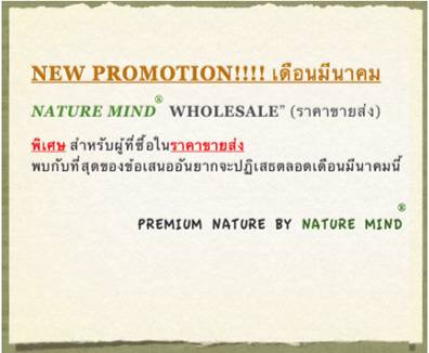 wholesale promotion