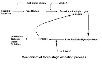 Oxidation Reaction